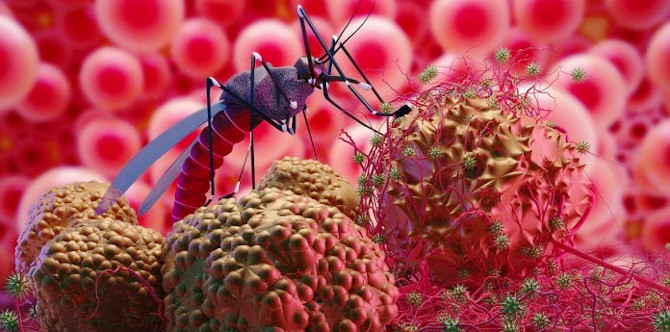 Malaria