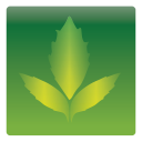 leaves-icon