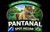 Jaguar spot