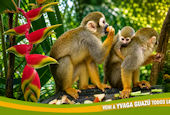 YvagaPark